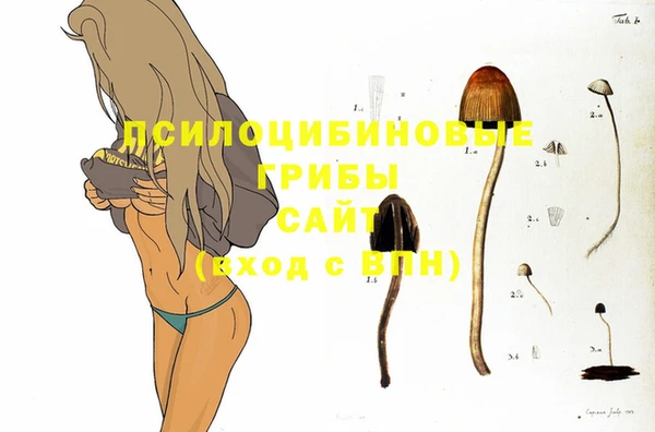 a pvp Алзамай