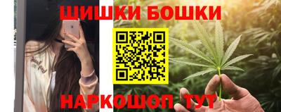 Альфа ПВП Сланцы