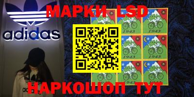 шишки Славгород