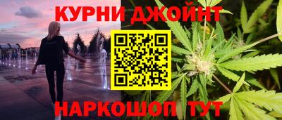 шишки Славгород