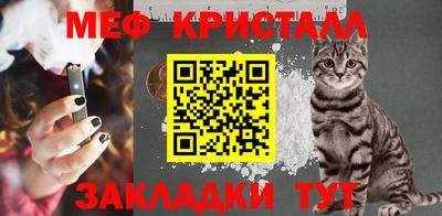 шишки Славгород