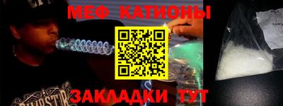 шишки Славгород