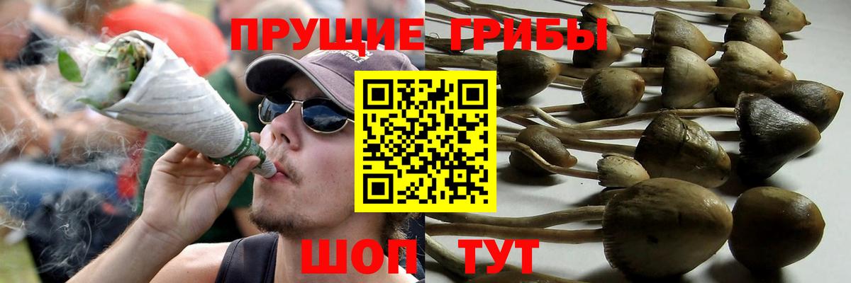 Галлюциногенные грибы мухоморы Самара